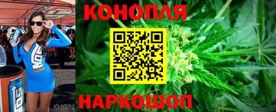 apvp Гатчина