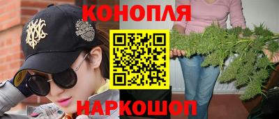 apvp Гатчина