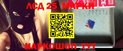 apvp Гатчина