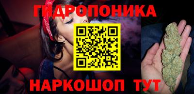 СК Гагарин