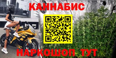 apvp Гатчина