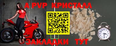 СК Гагарин